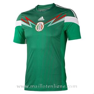 Maillot Mexique Exterieur 2013-2014